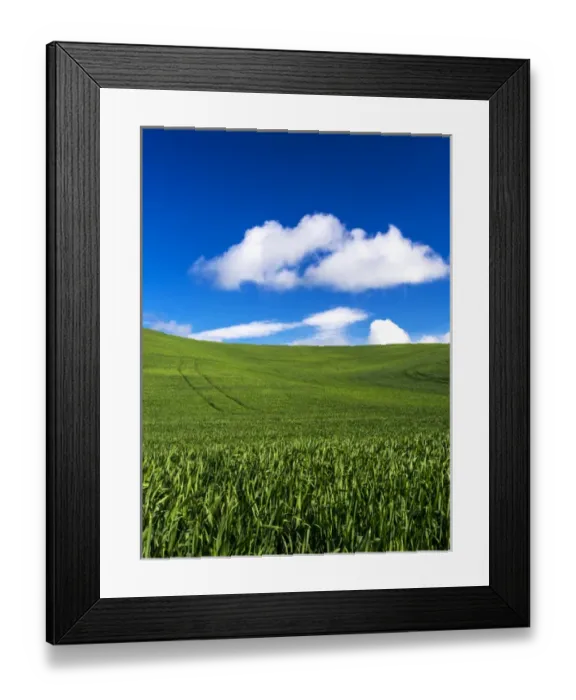 Framed Print : North America; USA; Washington; Palouse Country; Spring Wheat Field and Clouds
