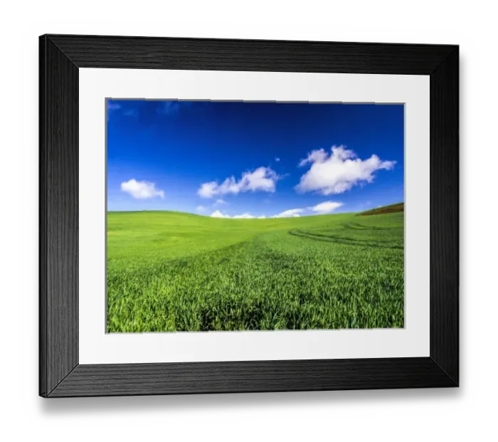 Framed Print : North America; USA; Washington; Palouse Country; Spring Wheat Field and Clouds