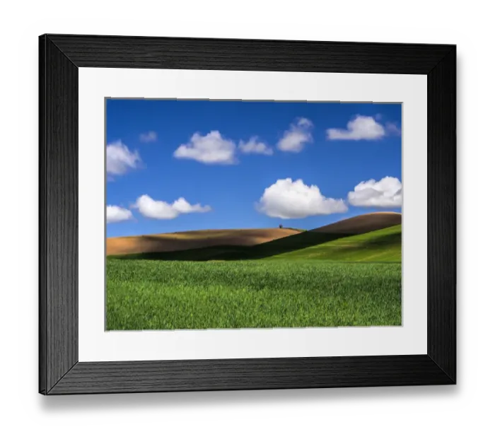 Framed Print : North America; USA; Washington; Palouse Country; Spring Wheat Field and Clouds