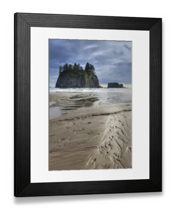 Framed Print : Beach. Olympic National Park, Washington, US Framed Print : Beach. Olympic National Park, Washington, US