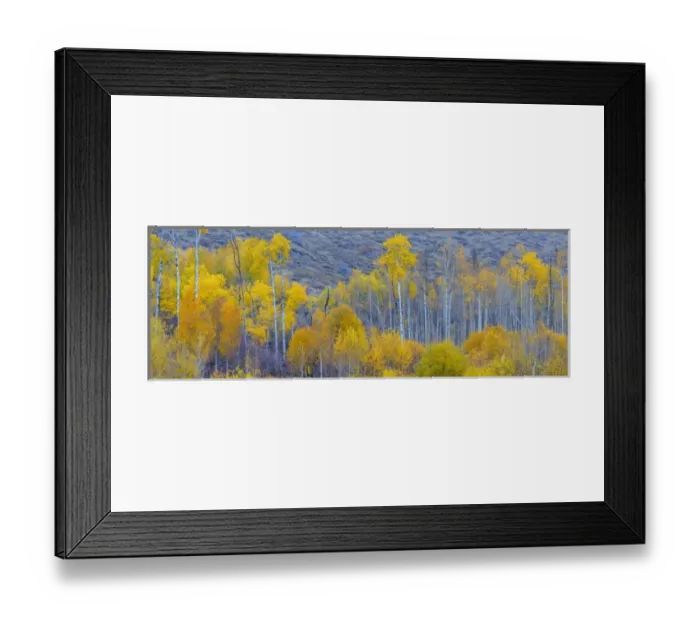 Framed Print : Panorama. Aspens. Winthrop. Western Washington