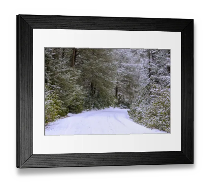 Framed Print : USA, West Virginia, Blackwater Falls State Park. Snow-covered road through forest Framed Print : USA, West Virginia, Blackwater Falls State Park. Snow-covered road through forest