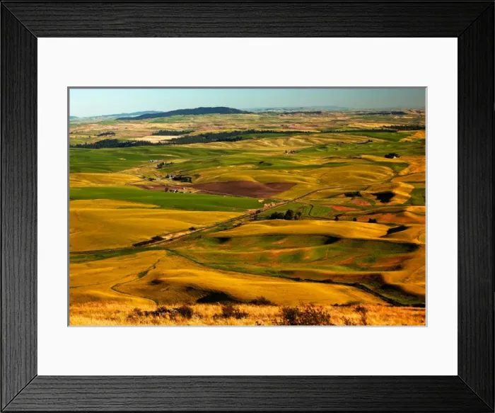 Framed Print : Yellow Green Wheat Fields Roads and Red Farms from Steptoe Butte at Palouse Washington Framed Print : Yellow Green Wheat Fields Roads and Red Farms from Steptoe Butte at Palouse Washington