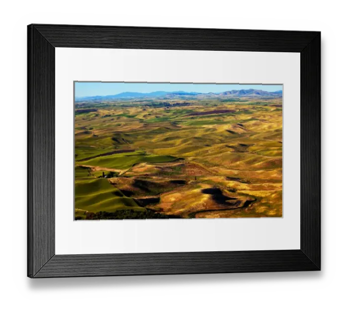 Framed Print : Yellow Green Wheat Fields Roads and Farms from Steptoe Butte at Palouse Washington Framed Print : Yellow Green Wheat Fields Roads and Farms from Steptoe Butte at Palouse Washington