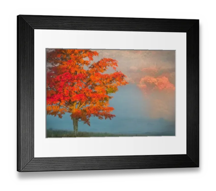 Framed Print : USA, West Virginia, Davis. Mist and forest in autumn color