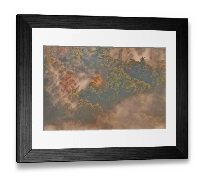 Framed Print : USA, West Virginia, Davis. Sun rays in misty autumn forest Framed Print : USA, West Virginia, Davis. Sun rays in misty autumn forest