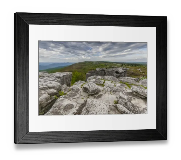 Framed Print : USA, West Virginia, Davis. Landscape in Dolly Sods Wilderness Area Framed Print : USA, West Virginia, Davis. Landscape in Dolly Sods Wilderness Area