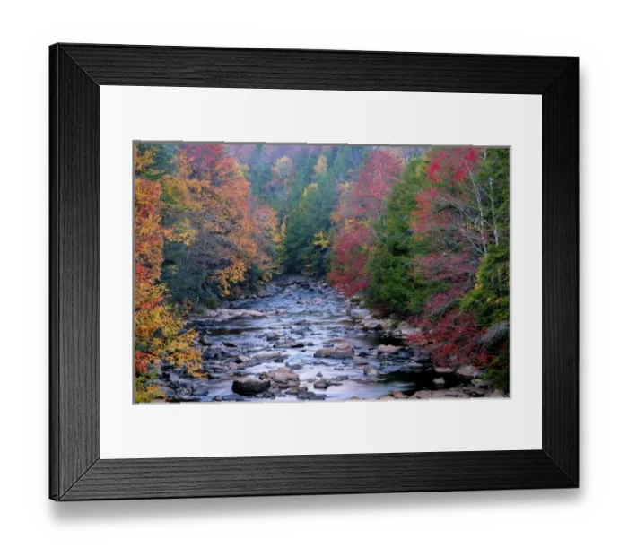 Framed Print : USA, West Virginia, Blackwater Falls State Park. Forest and stream in autumn. Credit as