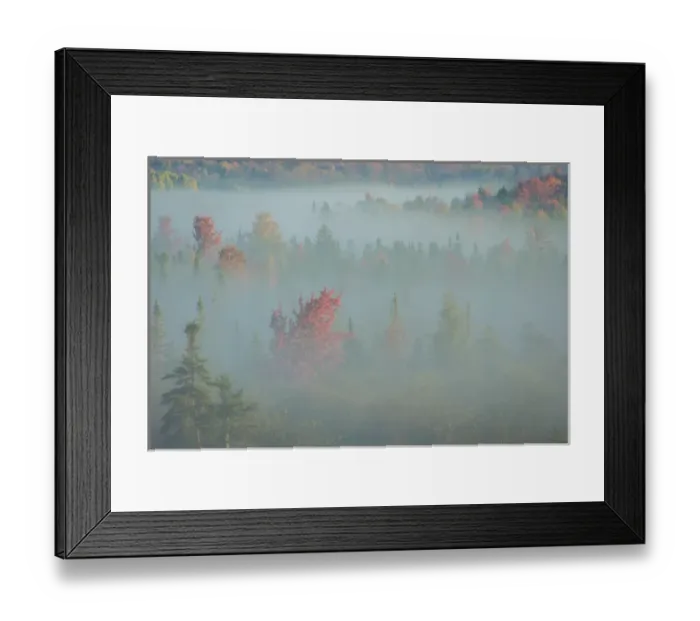 Framed Print : USA, West Virginia, Canaan Valley State Park Framed Print : USA, West Virginia, Canaan Valley State Park
