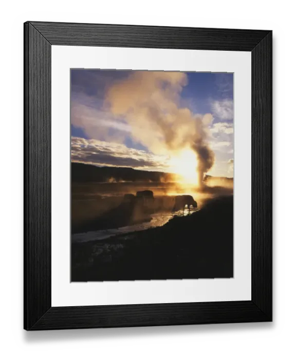 Framed Print : USA, Wyoming, Yellowstone National Park, Bison grazing by Old Faithful geyser Framed Print : USA, Wyoming, Yellowstone National Park, Bison grazing by Old Faithful geyser