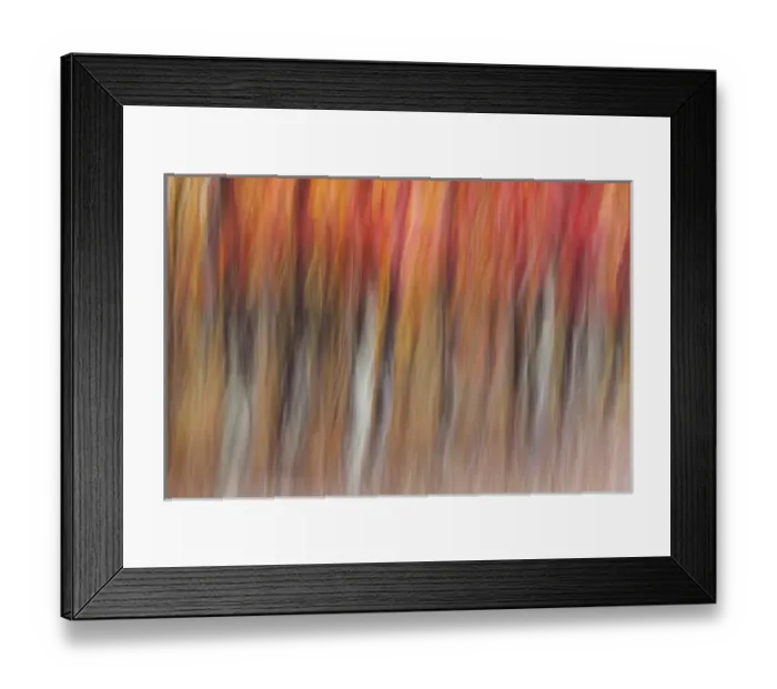 Framed Print : Motion blur abstract of autumn-hued forest, Wisconsin Framed Print : Motion blur abstract of autumn-hued forest, Wisconsin