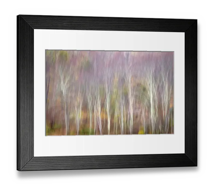 Framed Print : USA, West Virginia, Delaware Watergap Recreational Area. Forest abstract. Credit as Framed Print : USA, West Virginia, Delaware Watergap Recreational Area. Forest abstract. Credit as