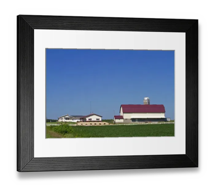 Framed Print : Farm and soybean crop north of Eau Claire, Wisconsin, USA
