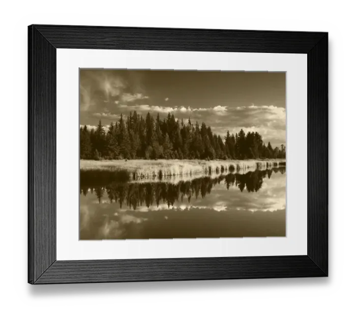 Framed Print : USA, Wyoming, Grand Teton National Park, Trees reflecting in Snake River Framed Print : USA, Wyoming, Grand Teton National Park, Trees reflecting in Snake River
