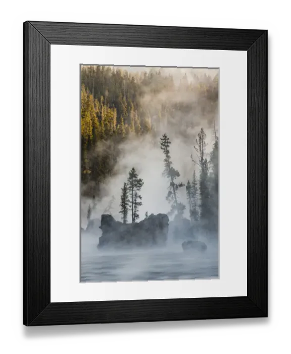 Framed Print : Tees and boulders in Yellowstone River at sunrise, Yellowstone National Park Framed Print : Tees and boulders in Yellowstone River at sunrise, Yellowstone National Park