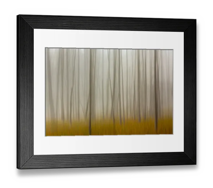 Framed Print : Blurred motion treatment of fallen ghost trees, Yellowstone National Park, Wyoming / Montana Framed Print : Blurred motion treatment of fallen ghost trees, Yellowstone National Park, Wyoming / Montana