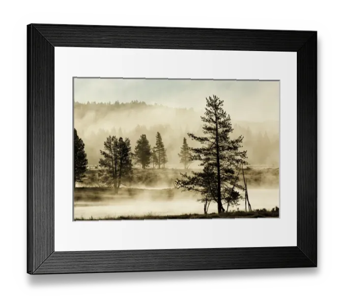 Framed Print : Silhouetted trees along Yellowstone River, Hayden Valley, Yellowstone National Park Framed Print : Silhouetted trees along Yellowstone River, Hayden Valley, Yellowstone National Park