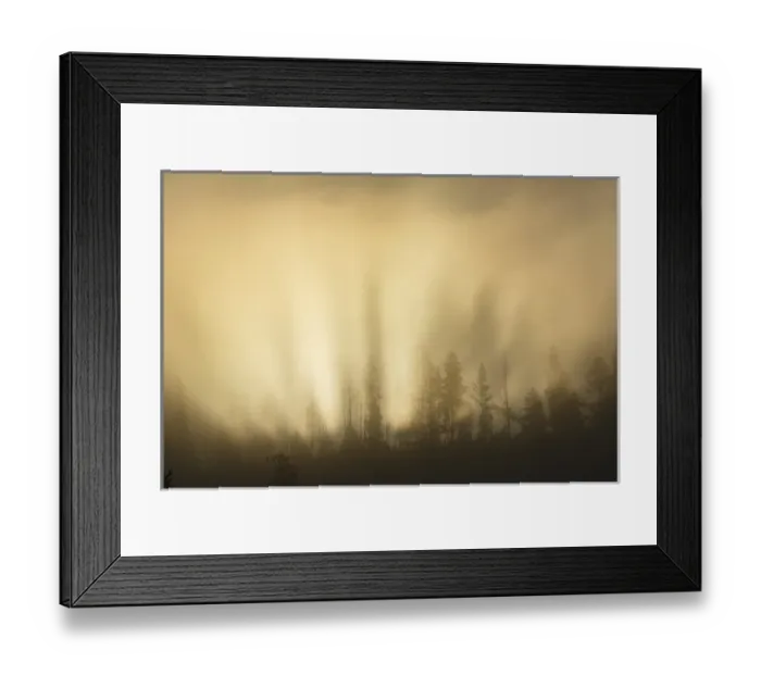 Framed Print : Sunbeams over trees, Midway Geyser Basin, Yellowstone National Park, Wyoming / Montana Framed Print : Sunbeams over trees, Midway Geyser Basin, Yellowstone National Park, Wyoming / Montana