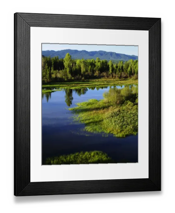 Framed Print : USA; Wyoming, Grand Teton National Park. A A lush Meadow in the Grand Tetons Framed Print : USA; Wyoming, Grand Teton National Park. A A lush Meadow in the Grand Tetons