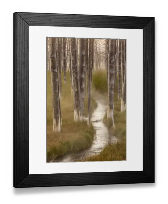Framed Print : Mineralized trees, Yellowstone National Park, Wyoming / Montana Framed Print : Mineralized trees, Yellowstone National Park, Wyoming / Montana