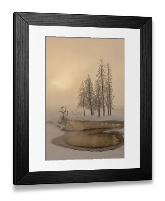 Framed Print : USA, Wyoming, Yellowstone National Park. Foggy winter scenic Framed Print : USA, Wyoming, Yellowstone National Park. Foggy winter scenic