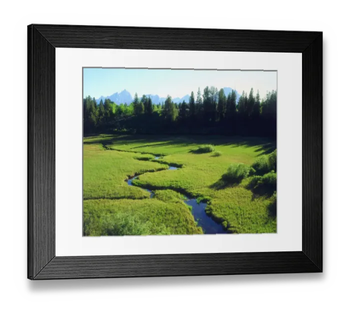 Framed Print : USA; Wyoming, Grand Teton National Park. A Grand Tetons and a lush meadow. A Framed Print : USA; Wyoming, Grand Teton National Park. A Grand Tetons and a lush meadow. A