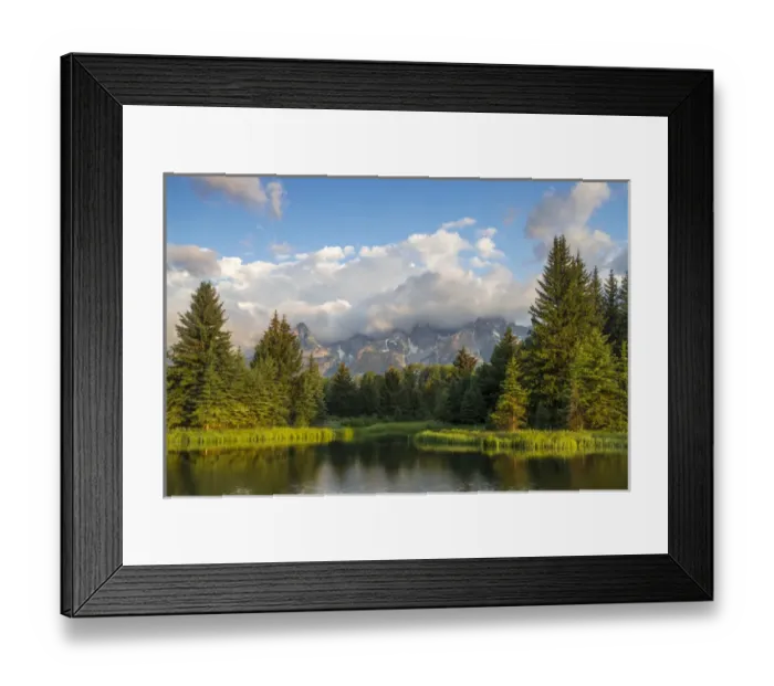 Framed Print : Teton mountains relfect in Schwabacher Landing on the Snake River in Grand Teton National Park Framed Print : Teton mountains relfect in Schwabacher Landing on the Snake River in Grand Teton National Park