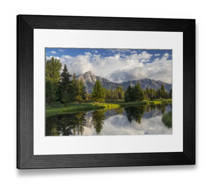 Framed Print : Teton mountains relfect in Schwabacher Landing on the Snake River in Grand Teton National Park Framed Print : Teton mountains relfect in Schwabacher Landing on the Snake River in Grand Teton National Park