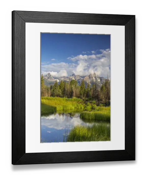 Framed Print : Teton mountains relfect in Schwabacher Landing on the Snake River in Grand Teton National Park Framed Print : Teton mountains relfect in Schwabacher Landing on the Snake River in Grand Teton National Park