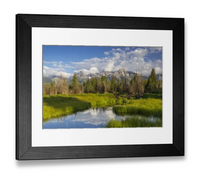 Framed Print : Teton mountains relfect in Schwabacher Landing on the Snake River in Grand Teton National Park