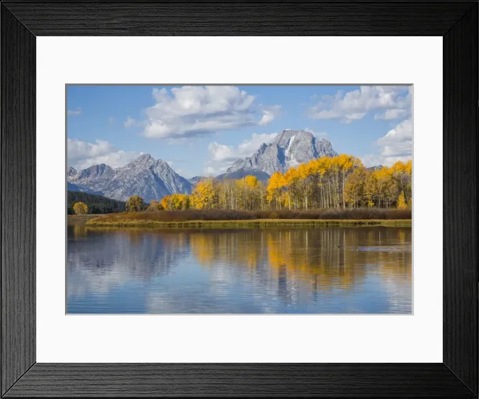 Framed Print : USA, Wyoming, Grand Teton National Park, autmn color along the Snake River Oxbow with Mt Framed Print : USA, Wyoming, Grand Teton National Park, autmn color along the Snake River Oxbow with Mt