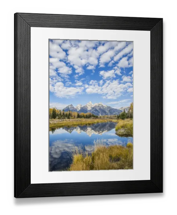 Framed Print : USA, Wyoming, Grand Teton National Park, autmn color along the Snake River at Schwabacher Framed Print : USA, Wyoming, Grand Teton National Park, autmn color along the Snake River at Schwabacher