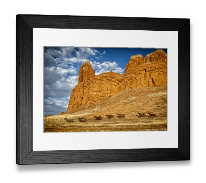 Framed Print : USA, Wyoming, Shell, Horses Running, PR Framed Print : USA, Wyoming, Shell, Horses Running, PR