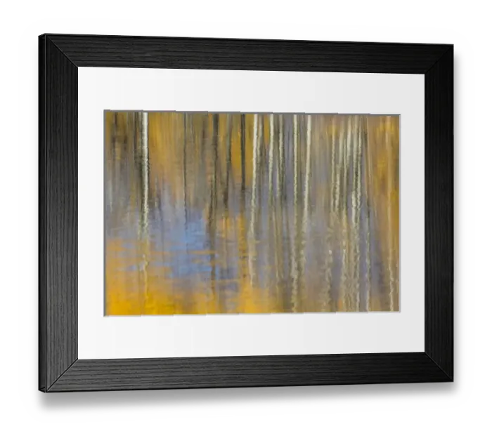 Framed Print : USA, Wyoming, Grand Teton National Park, Autumn aspen trees are reflected in Framed Print : USA, Wyoming, Grand Teton National Park, Autumn aspen trees are reflected in