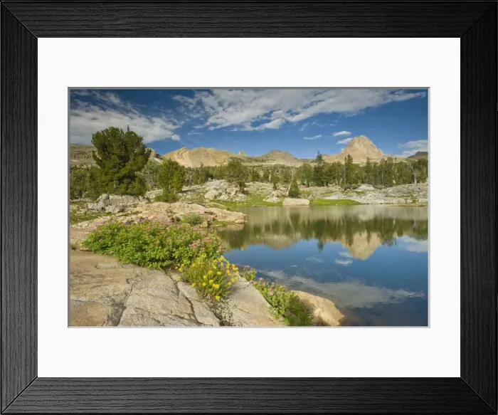 Framed Print : Wildflowers, Lake, and Buck Mountain, Alaska Basin trail near Driggs, Idaho Caribou-Targhee