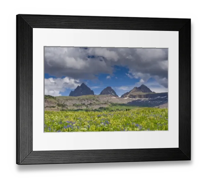 Framed Print : Grand Teton, South and Middle Tetons, Lupine and Wildflowers, Alaska Basin Shelf