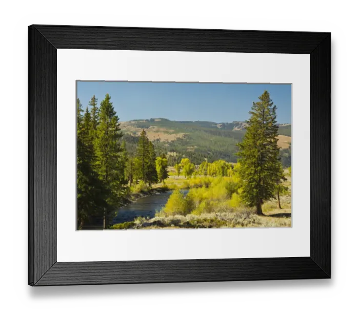 Framed Print : early autumn; Lamar River Valley; Yellowstone National Park; Wyoming; USA Framed Print : early autumn; Lamar River Valley; Yellowstone National Park; Wyoming; USA