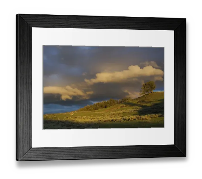 Framed Print : Clearing Thunderstorm; Yellowstone National Park Framed Print : Clearing Thunderstorm; Yellowstone National Park