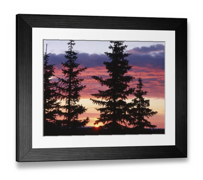 Framed Print : USA, Wyoming, Medicine Bow - Routt National Forest, Sierra Madre, Silhouette of trees