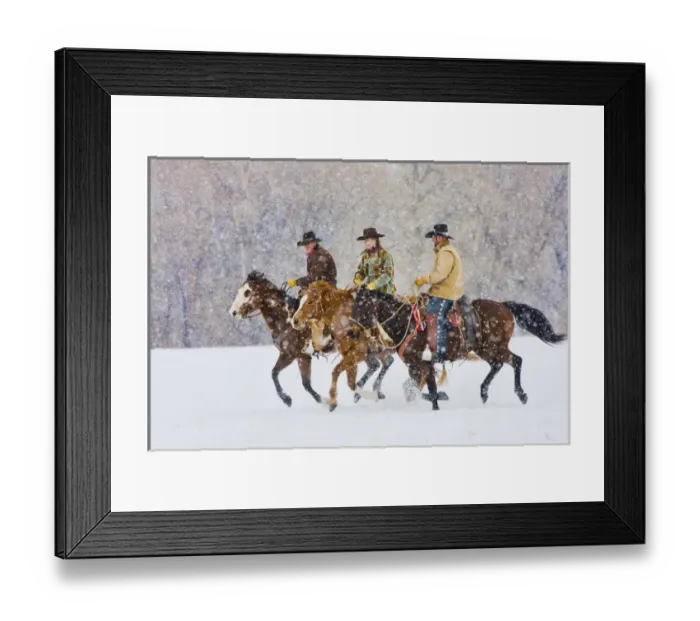 Framed Print : North America; USA; Wyoming; Shell; Cowboys and Cowgirl riding snowfall; (MR) Framed Print : North America; USA; Wyoming; Shell; Cowboys and Cowgirl riding snowfall; (MR)