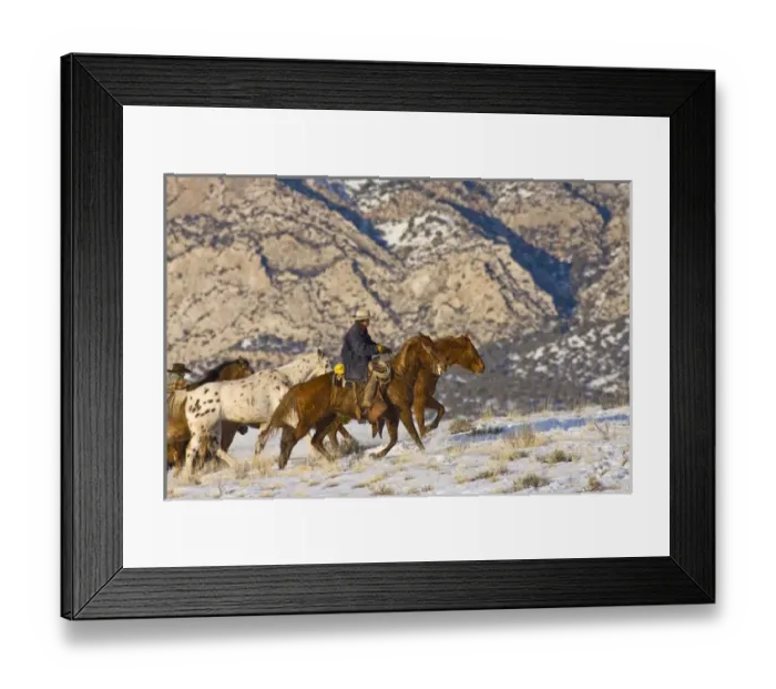 Framed Print : North America; USA; Wyoming; Shell; Cowboy Hearding Horses Running in Snow; (MR) Framed Print : North America; USA; Wyoming; Shell; Cowboy Hearding Horses Running in Snow; (MR)
