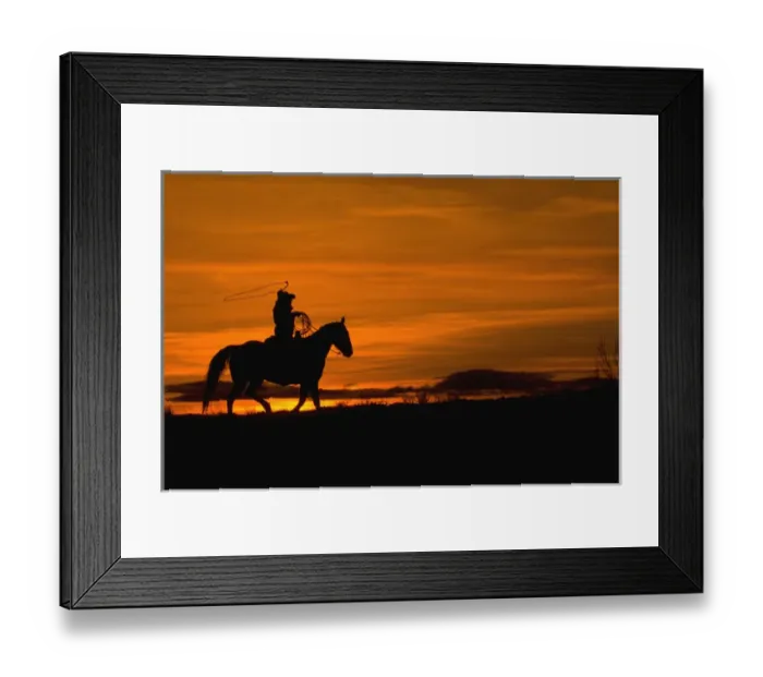 Framed Print : North America; USA; Wyoming; Shell; Cowboy riding in the Sunset with lariat Rope; (MR)