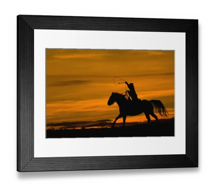 Framed Print : North America; USA; Wyoming; Shell; Cowboy riding in the Sunset with lariat Rope; (MR) Framed Print : North America; USA; Wyoming; Shell; Cowboy riding in the Sunset with lariat Rope; (MR)
