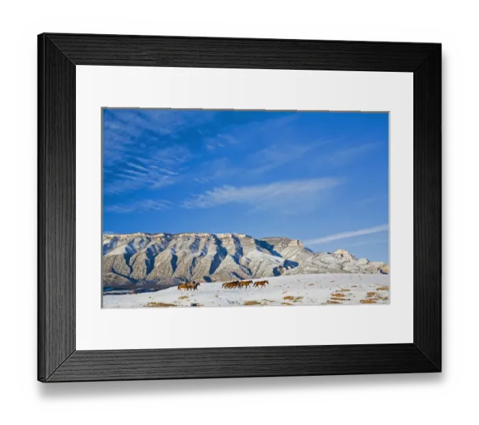 Framed Print : North America; USA; Wyoming; Shell; Cowboys with Heard of Horses in The Big Horn Mountains Framed Print : North America; USA; Wyoming; Shell; Cowboys with Heard of Horses in The Big Horn Mountains