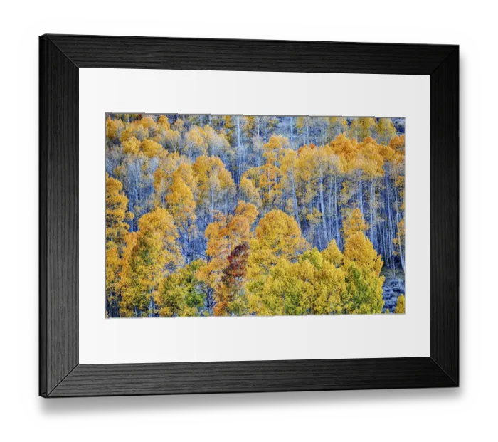 Framed Print : Conway Pass; Lee Vining; Mono county; USA; California