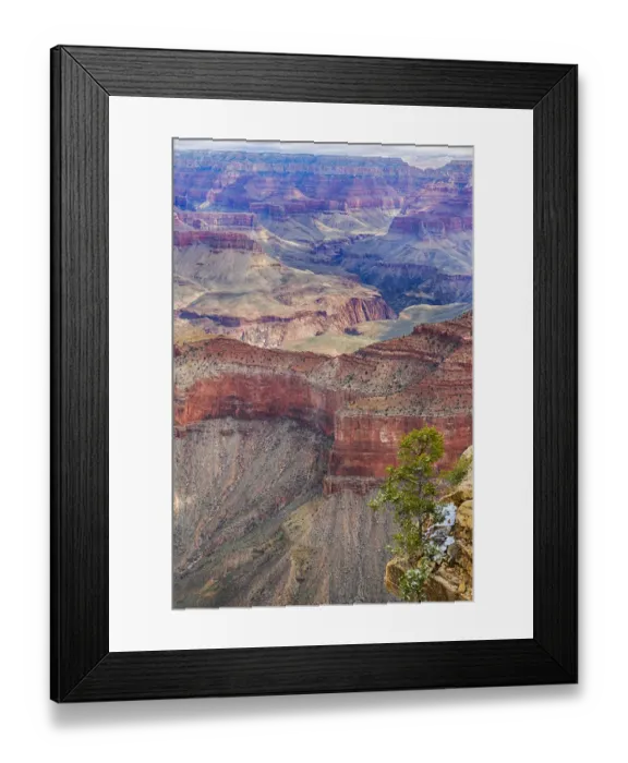 Framed Print : Arizona, Grand Canyon National Park, South Rim Framed Print : Arizona, Grand Canyon National Park, South Rim