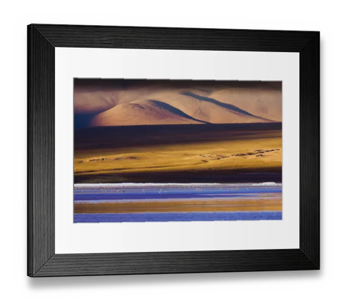 Framed Print : Flamingos, Altiplano, Bolivia
