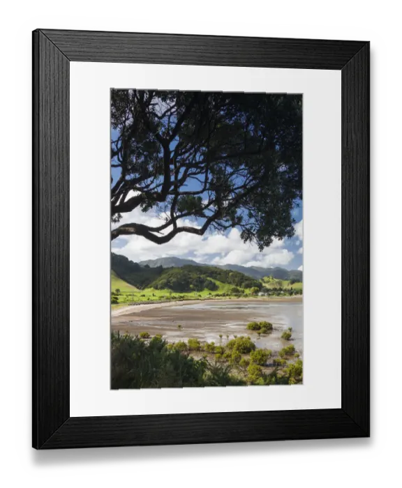 Framed Print : New Zealand, North Island, Coromandel Peninsula, Coromandel Town, Colville, waterfront Framed Print : New Zealand, North Island, Coromandel Peninsula, Coromandel Town, Colville, waterfront