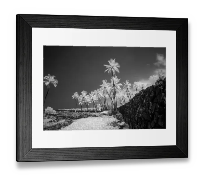 Framed Print : Pu uhonua o HAcnaunau, The Big Island, Hawaii, USA Framed Print : Pu uhonua o HAcnaunau, The Big Island, Hawaii, USA