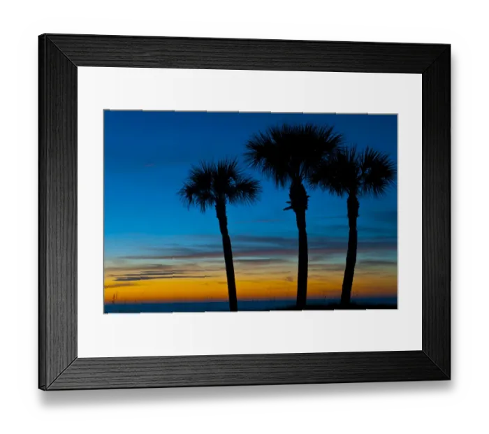 Framed Print : North America, USA, Florida, Sarasota, Crescent Beach, Siesta Key, Sunset and Palm Trees Framed Print : North America, USA, Florida, Sarasota, Crescent Beach, Siesta Key, Sunset and Palm Trees